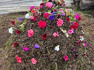 living compost to improve soil health. small batch handmade compost with locally sourced materials