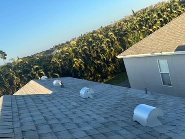 View of a shingled roof with vents and a background of palm trees under clear blue sky.