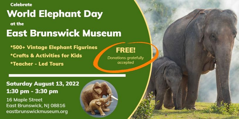 Flier elephant day 2022.