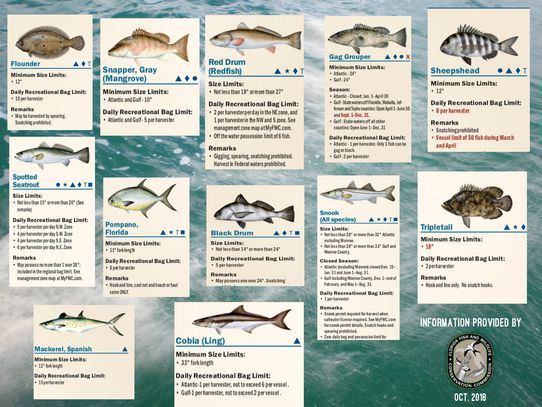 Fish Regulations, Saltwater Fishing, Chummy Charters
