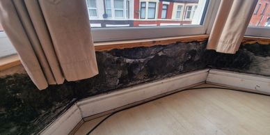 Mould removal sterilisation