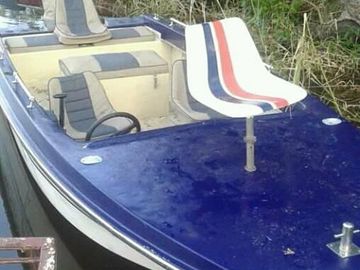 Tiger Fishing