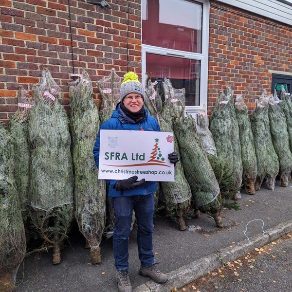 SFRA LTD Christmas tree sale delivery