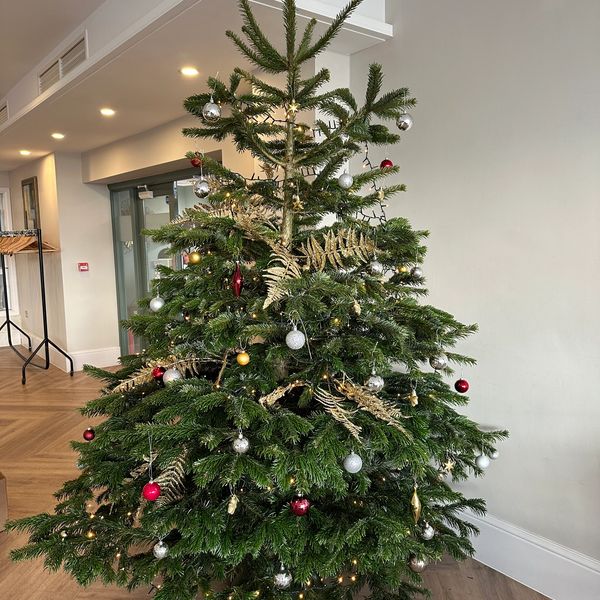 Decorated Christmas tree by SFRA LTD