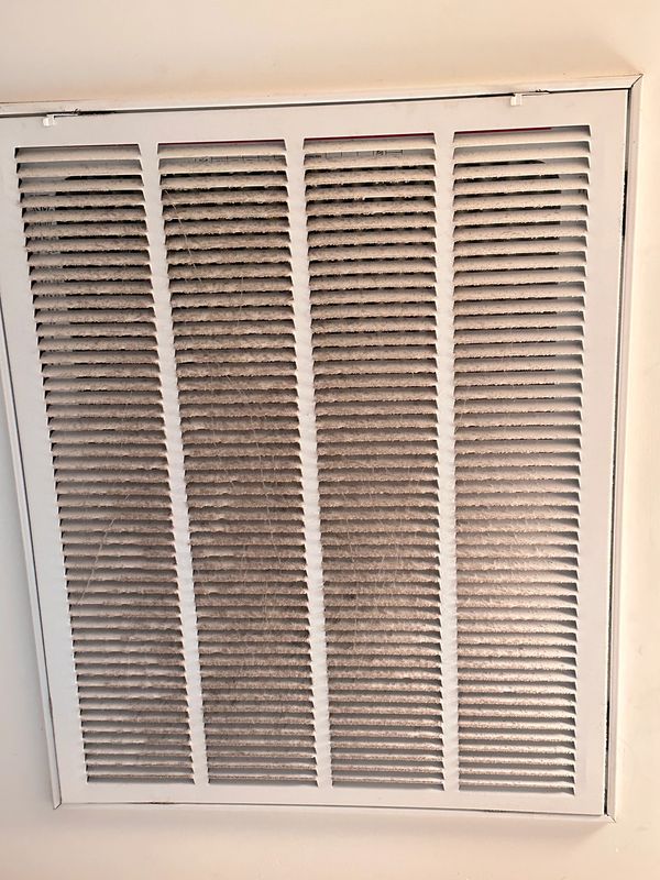 Professional Cleaning Services in Charleston, SC.