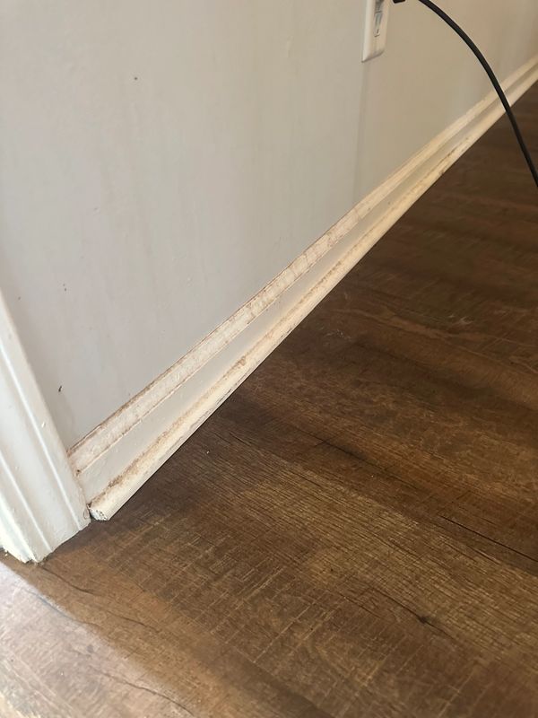 Professional Cleaning Services in Charleston, SC.