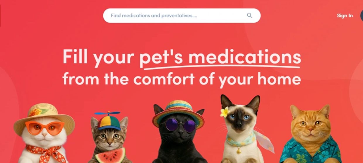https://zencat.ourvet.com/pet/