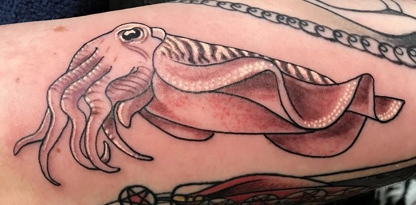 Cuttlefish tattoo by Rockwood