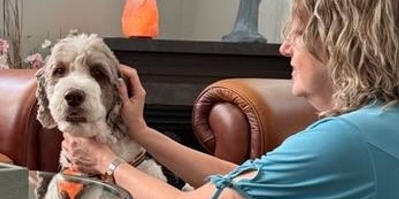Woman gently pets a calm dog indoors on a leather couch.