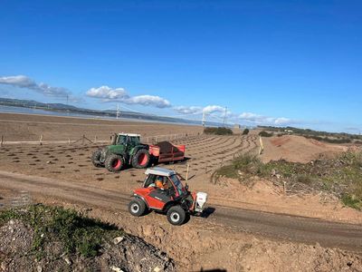 Avonmouth and Severnside Enterprise Area - ASEA - Planting