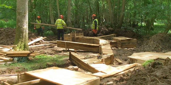 Massive Badger Translocation Sett being built by Ecological Contractors.