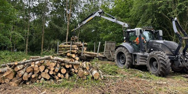 One of Knighton Countryside Management's tractors making light work of some vegetation clearance.