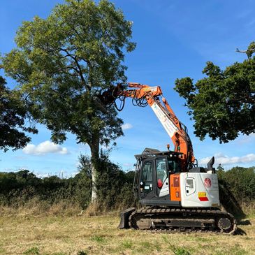 Tree surgery using Knighton's machinery