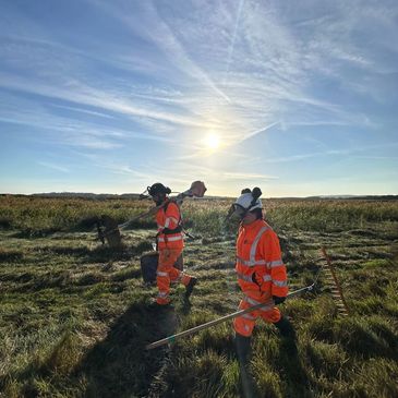 Our teams of ecologically trained team hand clearing.