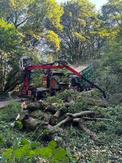 Mechanised roadside clearance by Knightons machinery