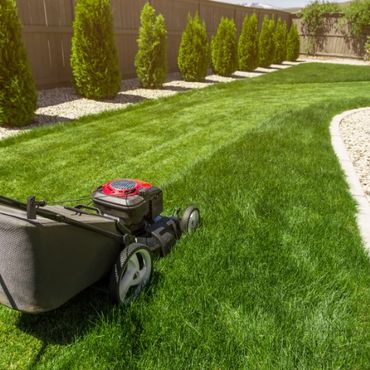 A lawn mower cutting fresh green grass near a wooden fence.