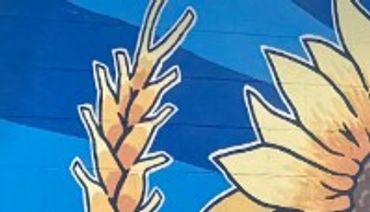 Clue #5: Close-up of a sunflower and wheat illustration on a blue background.