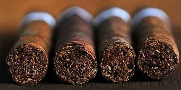 Four close-up cigars lined up horizontally.