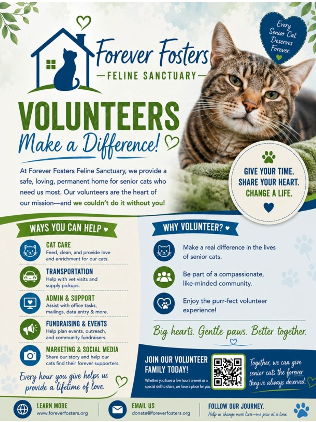 Volunteer flyer for Forever Fosters Feline Sanctuary helping senior cats.