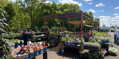Outdoor plant nursery with various potted plants and flowers under a blue sky.