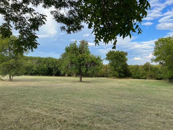 A peaceful grassy field with scattered trees under a blue sky.