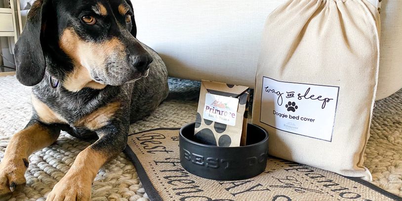 pet friendly hotel, chino valley hotel, prescott hotel,arizona