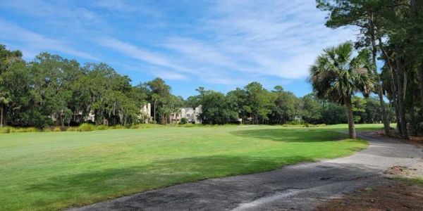 Sunny golf course with trees and houses.