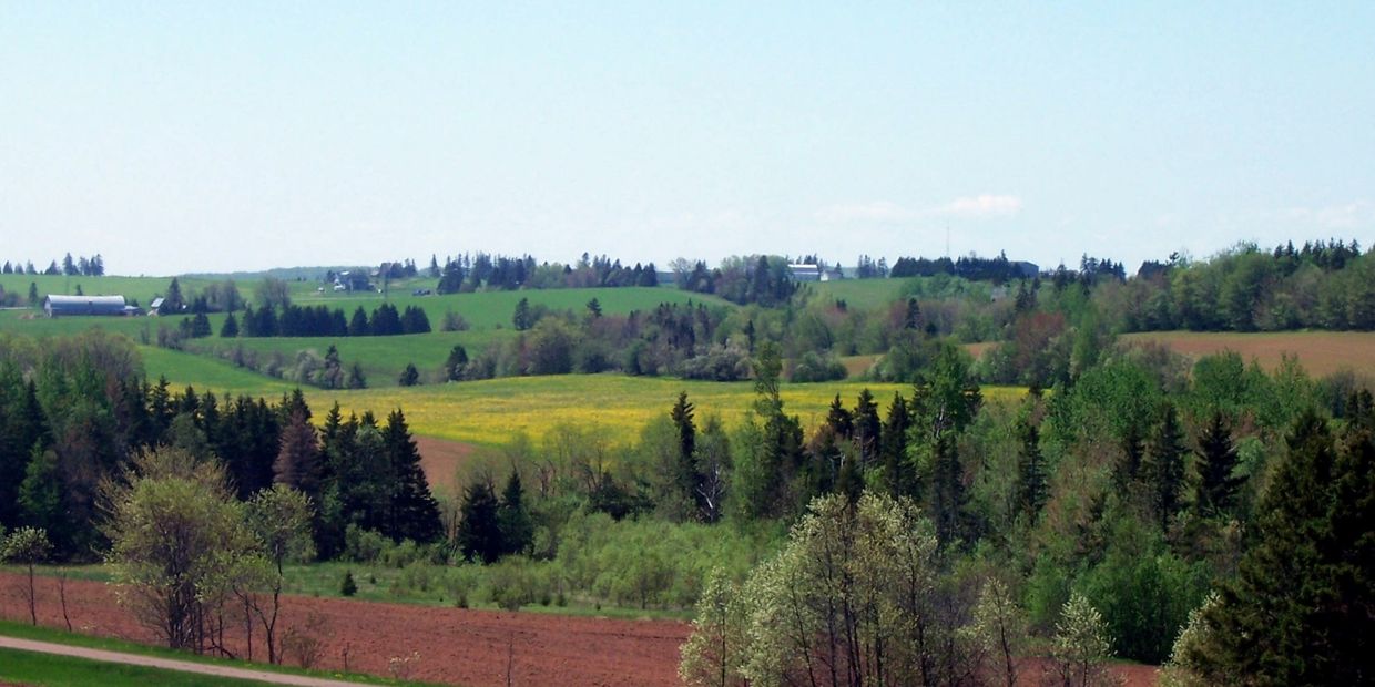 Farmland (South eastern PEI)