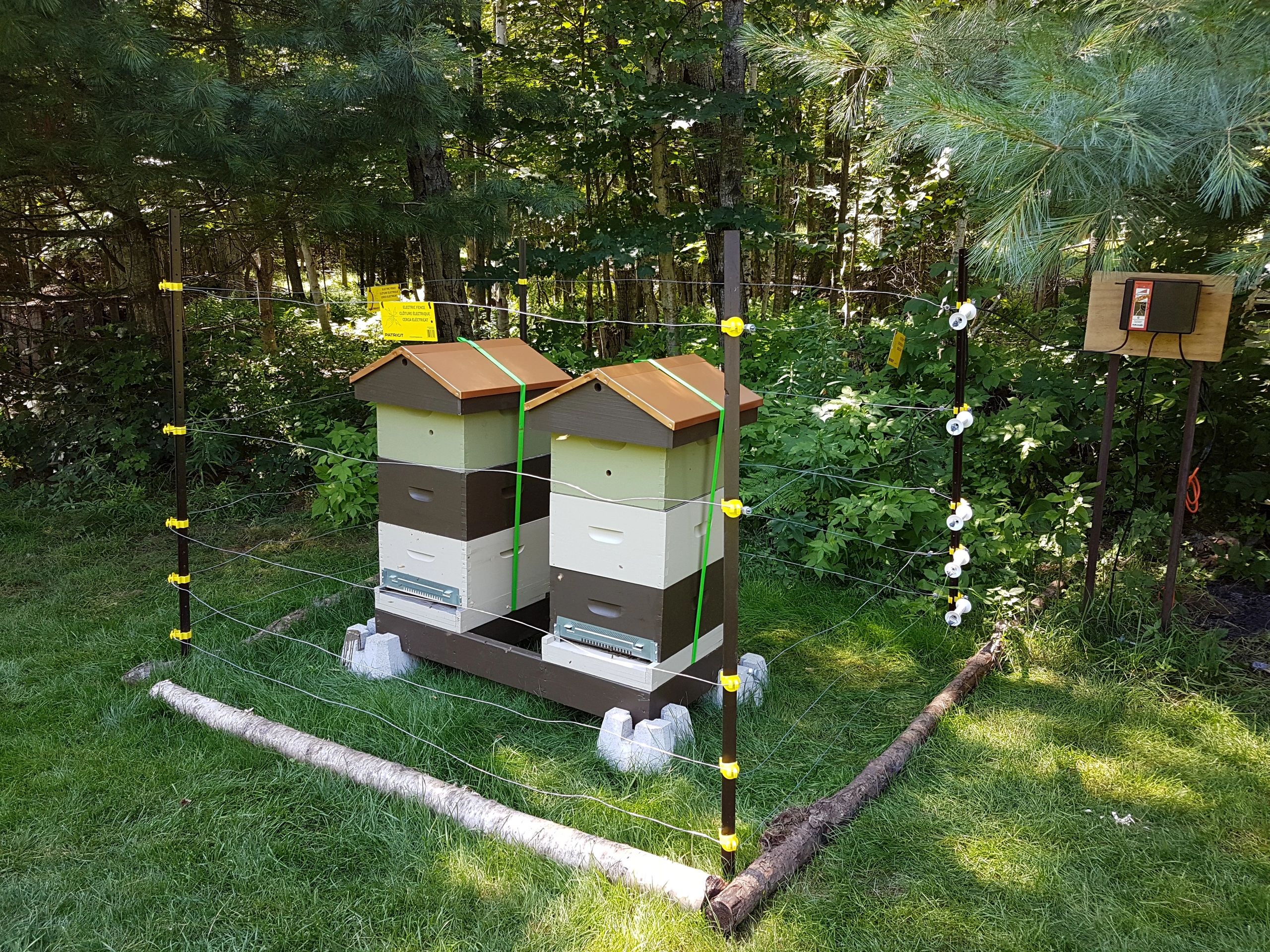A pair of lovely Garden Top Boutique hives newly installed at their location.