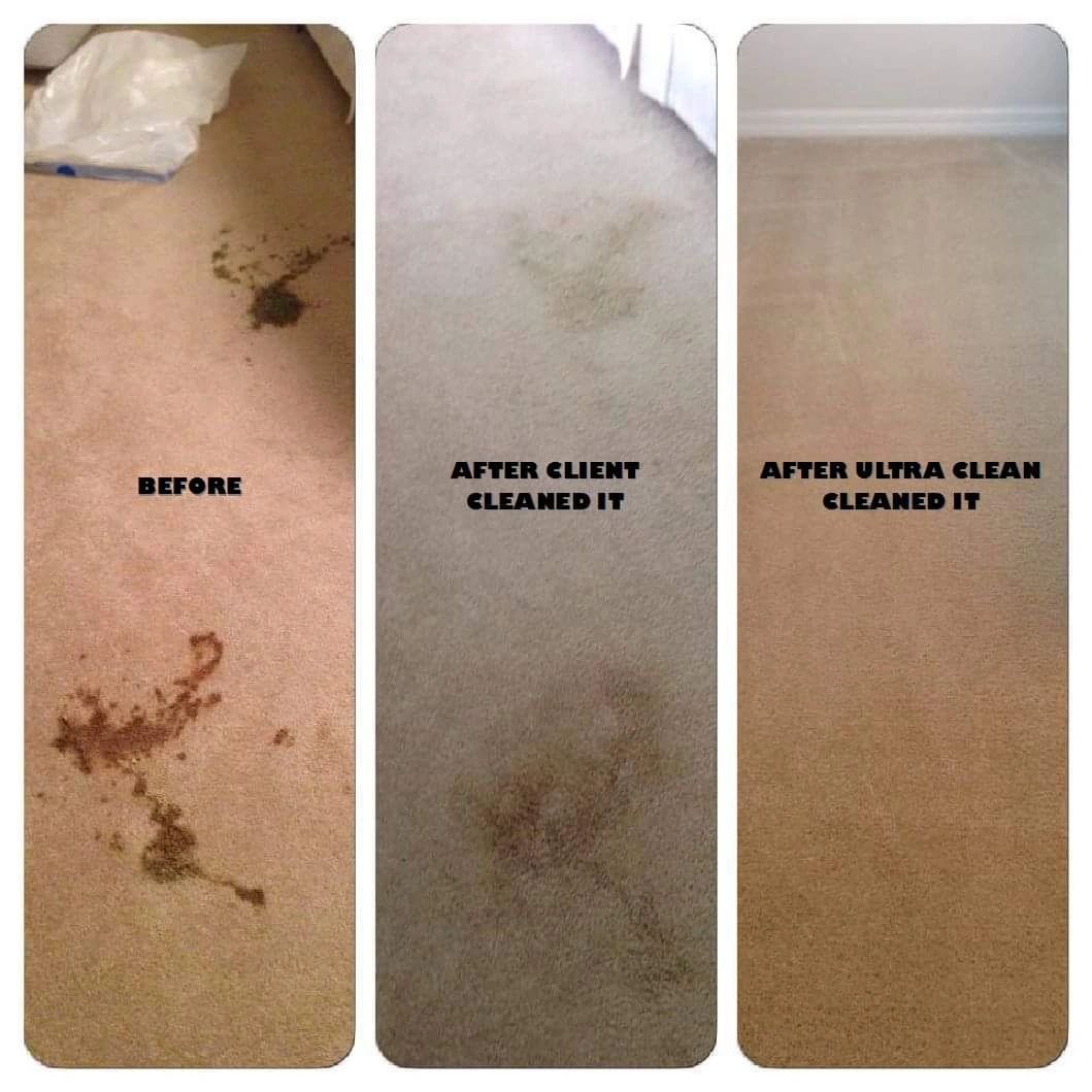 Mattress, Furniture, Carpet,  Pet Stain, Urine, and Odor Removal in Manatee Florida