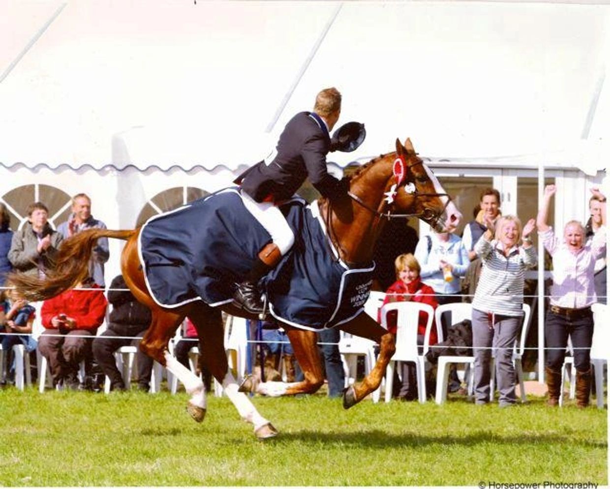 Forinth - event horse stallion