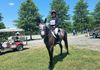 Woodge and Puck, Horse Park of New Jersey Horse Trials 07/02/2017