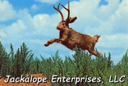Jackalope Enterprises        