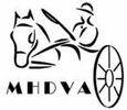 Michigan Horse Drawn Vehicle Association