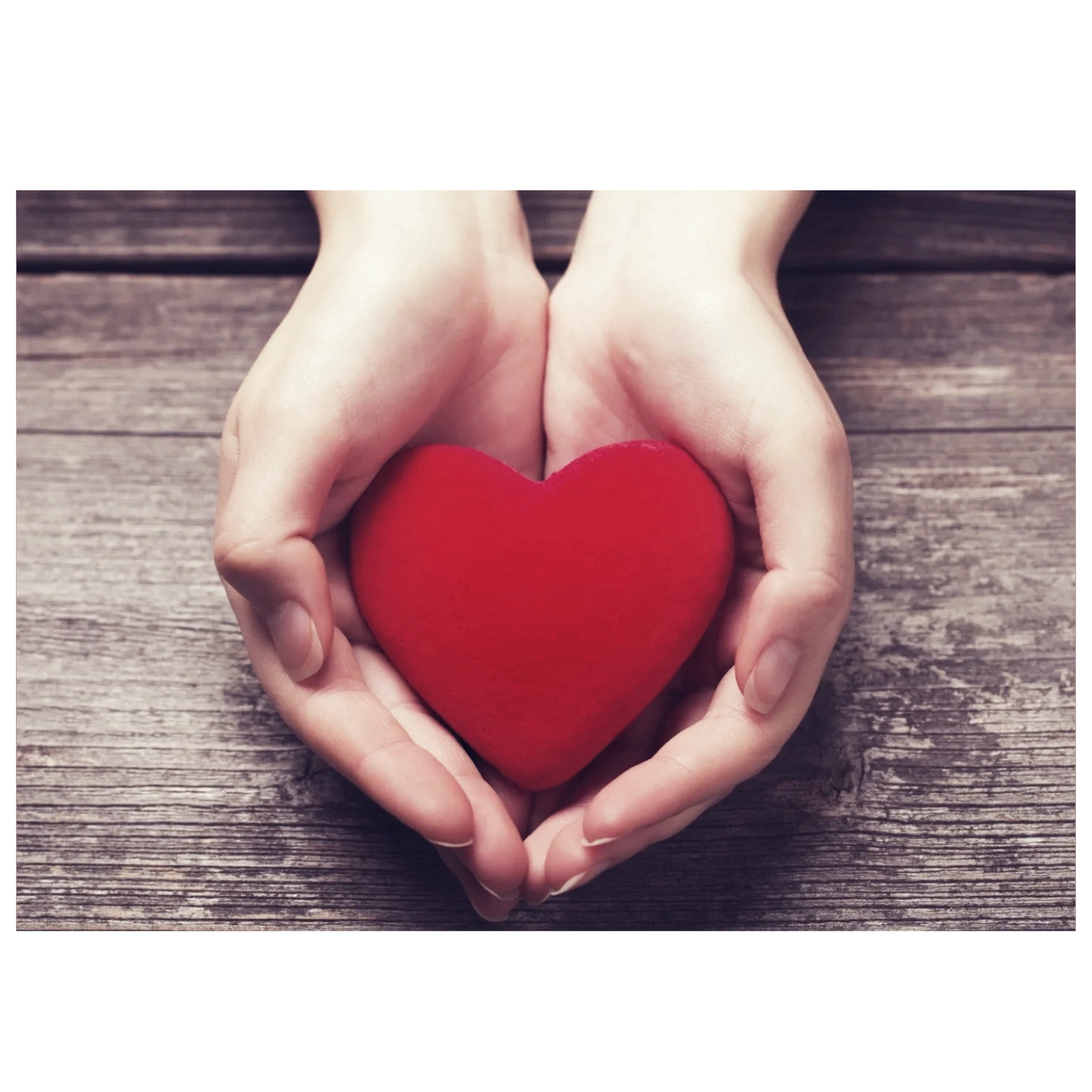 Give a little. Help a lot.