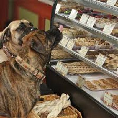 Natural Dog Treats