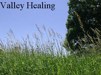 Valley Healing
