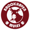 Brookhaven Mules Hockey