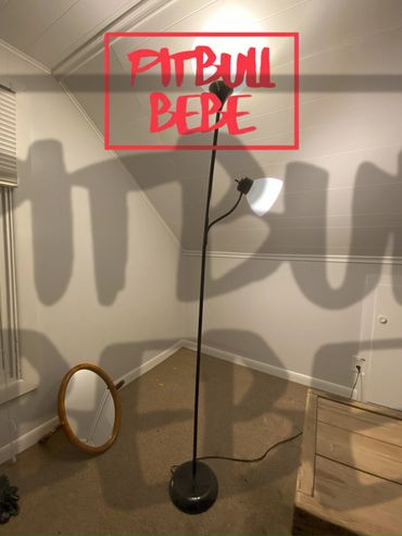 gorras, lentes, ropa, moda, estilo, chamarras, top, trending, hot, gym,