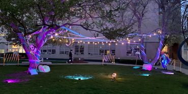 The sun has started to set, and the lights between the trees are beginning to be more prominent/