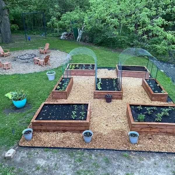 Raised garden beds.