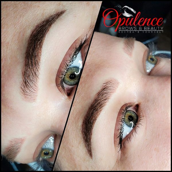 ombre powder brows results charlotte nc