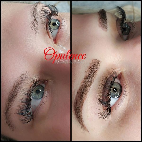 powder brows charlotte nc