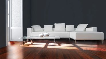 Curupay hardwood flooring in the color Teak with sunlight and a white couch.