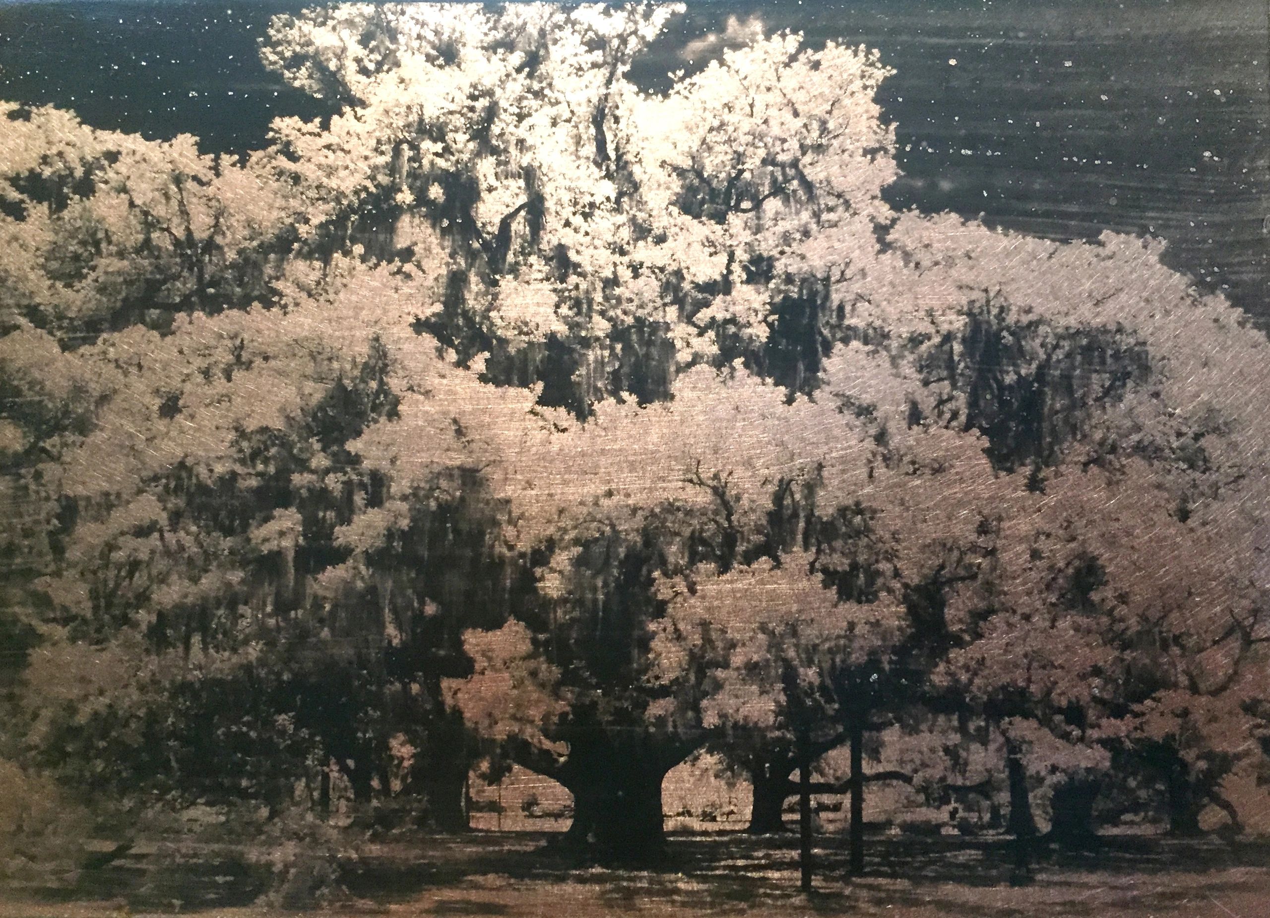 City Park Oaks: Liquid Emulsion Print on Copper:  Wide Oak1 on Crutches, New Orleans, LA