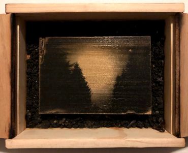 Driving Series: Trees: Liquid Emulsion Print on Poplar on Earth Matte Framed with Doors