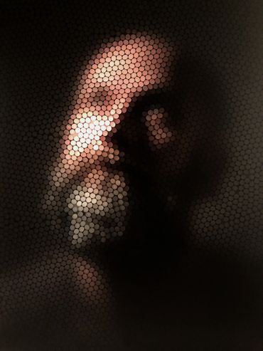 Straw Camera Series: Henry