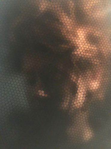 Straw Camera Series: Heather Looking Down