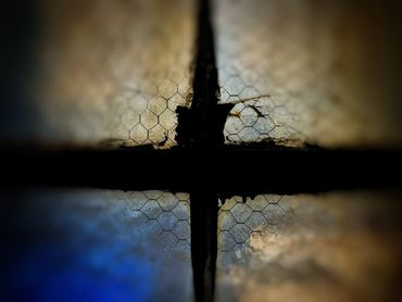 Window Series:  Window Cross