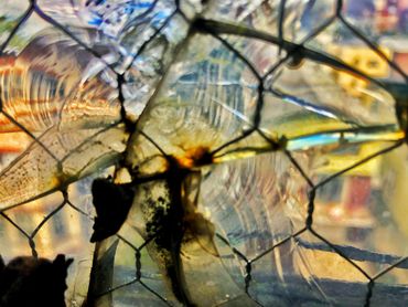 Window Story Series:   Dancer